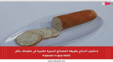 لانشون الدجاج بطريقة المصانع السرية حضريه في مطبخك بأقل تكلفة وجودة مضمونة